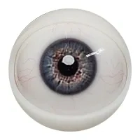 E08