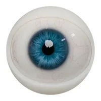 E06