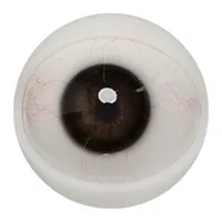 E01