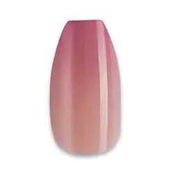 F4