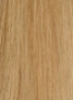 H02