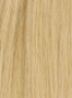 H01