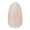 T2