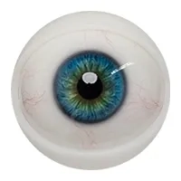 E11