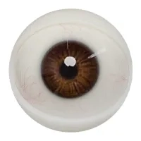 E02