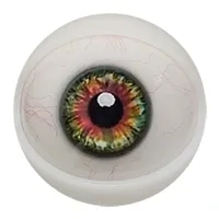 E13