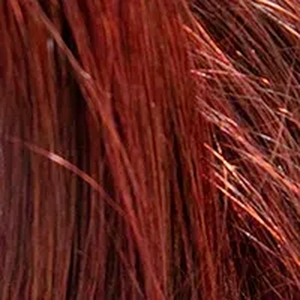 Auburn
