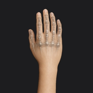 Articulated Finger [+€70.00]