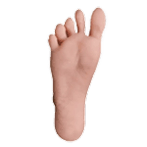 Standing Feet Without Bolts
